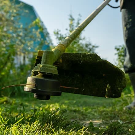 A string trimmer cutting long grass at the edge of a lawn